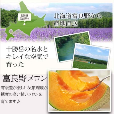 糖度15度前後 富良野メロン　4Lサイズ(2.5kg以上)　1玉入り