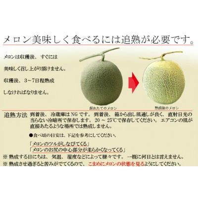糖度15度前後 富良野メロン　4Lサイズ(2.5kg以上)　1玉入り
