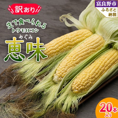 【2025年発送】 生で食べられるトウモロコシ　訳あり　恵味(めぐみ)　20本入り