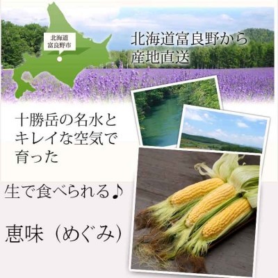 【2025年発送】 生で食べられるトウモロコシ　訳あり　恵味(めぐみ)　20本入り