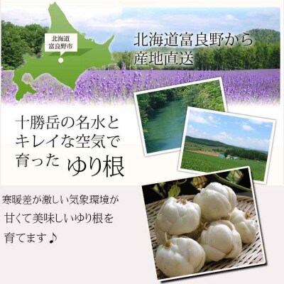 2025年先行予約【訳あり】北海道富良野産 ゆり根 5kg