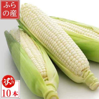 【2025年発送】 北海道富良野産 生で食べられる白いとうもろこし ピュアホワイト 訳あり 10本