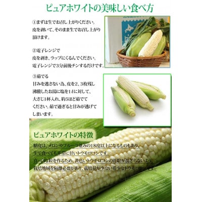 【2025年発送】北海道富良野産 生で食べられる白いとうもろこし ピュアホワイト 訳あり 20本