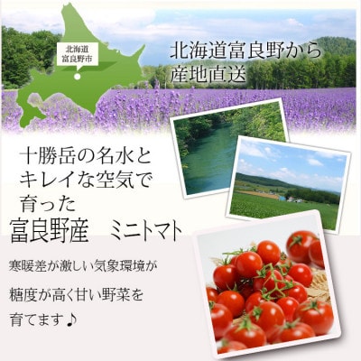 【2025年発送】北海道 完熟 富良野トマト (ミニトマト) 1kg詰め