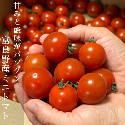 【2025年発送】完熟　富良野トマト　(ミニトマト)　3kg