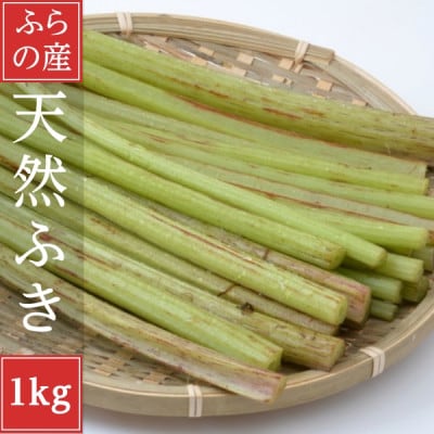アケガミファーム 無農薬ふき1kg(30~40本)B品 | 野菜/山菜 産直