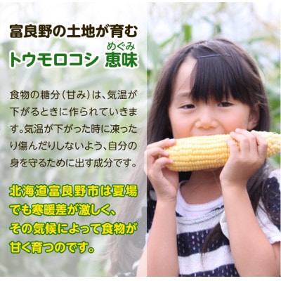 「生」で食べられるトウモロコシ　恵味　3本入り