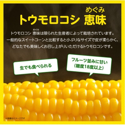 「生」で食べられるトウモロコシ　恵味　3本入り