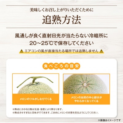 糖度15度前後 富良野メロン　4Lサイズ(2.5kg以上)　3玉入り