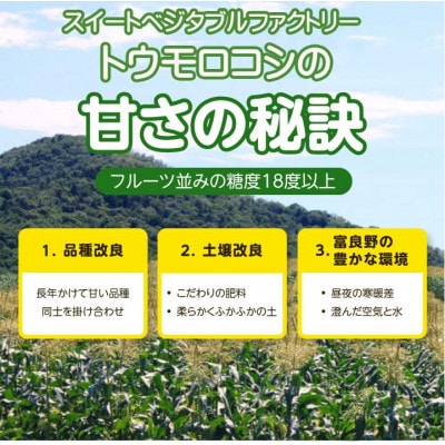 早採りハウス栽培　北海道富良野産 生で食べられる白いトウモロコシ　10本入り