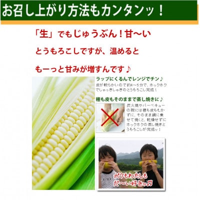 早採りハウス栽培　北海道富良野産 生で食べられる白いトウモロコシ　10本入り