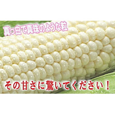 早採りハウス栽培　北海道富良野産 生で食べられる白いトウモロコシ　10本入り