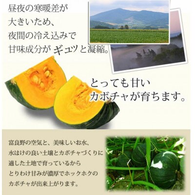 北海道富良野産　坊ちゃんかぼちゃ　20玉