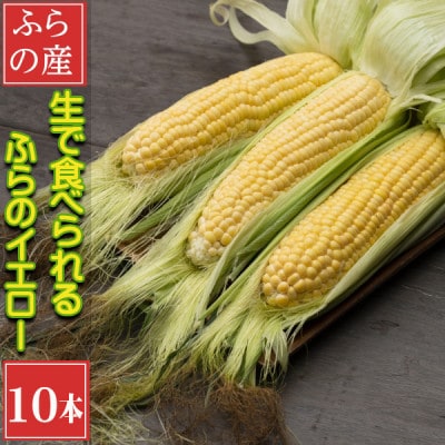 「生」で食べられる!北海道富良野産　トウモロコシ　ふらのイエロー　10本入り