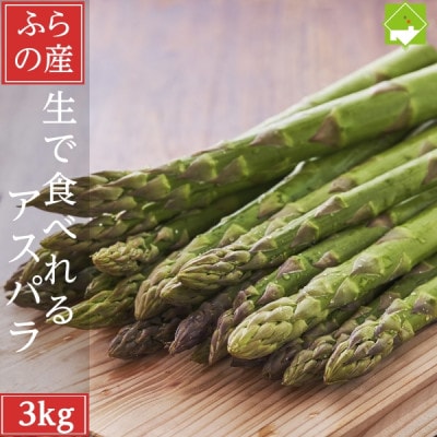 生で食べられる北海道富良野産 アスパラ3kg (S～Lサイズ混合)