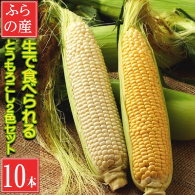 生で食べれる トウモロコシ2種類セット(ホワイト5本・イエロー5本)合計10本