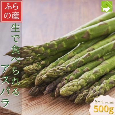「生」で食べられる!北海道富良野産　グリーンアスパラ　500g (S～Lサイズ混合)