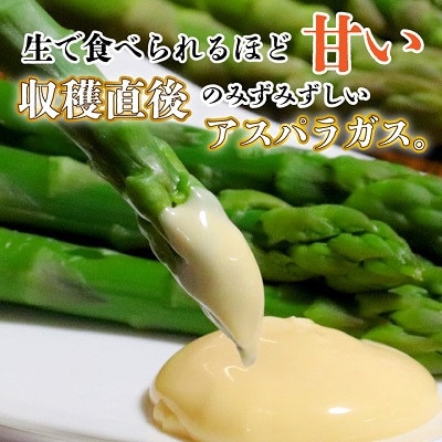 「生」で食べられる!北海道富良野産　グリーンアスパラ　500g (S～Lサイズ混合)