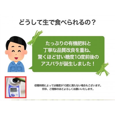 「生」で食べられる!北海道富良野産　グリーンアスパラ　500g (S～Lサイズ混合)