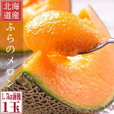 糖度15度前後 富良野メロン 2Lサイズ (1.5kg前後) 1玉入