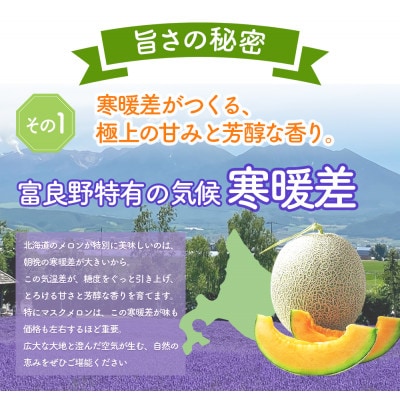 糖度15度前後 富良野メロン 2Lサイズ (1.5kg前後) 1玉入