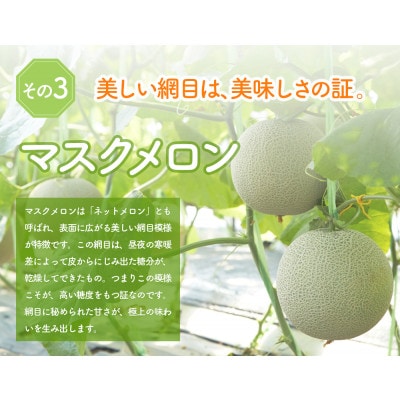 糖度15度前後 富良野メロン 2Lサイズ (1.5kg前後) 1玉入