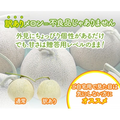 【訳あり】北海道富良野産 富良野メロン 赤肉 4kg(計2玉入り)糖度15度前後
