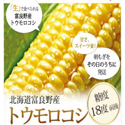 【発送月固定定期便】「生」で食べられる!北海道富良野産 トウモロコシ 恵味(めぐみ)10本入り全2回