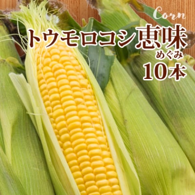 【発送月固定定期便】富良野産　スイカ・メロン・トウモロコシ全3回