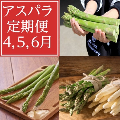 【発送月固定定期便】4月・5月・6月北海道富良野産　アスパラ定期便全3回