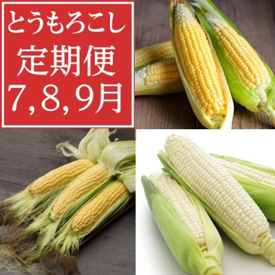 【発送月固定定期便】7月・8月・9月　生で食べれるトウモロコシ定期便　北海道富良野からお届け全3回