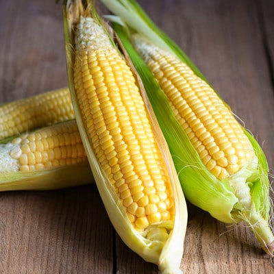 【発送月固定定期便】7月・8月・9月　生で食べれるトウモロコシ定期便　北海道富良野からお届け全3回