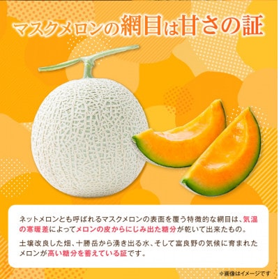【発送月固定定期便】富良野メロン定期便全2回