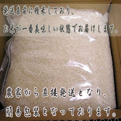 【毎月定期便】北海道富良野産 ゆめぴりか 精米　5kg×1袋全3回