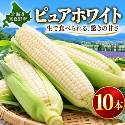 【発送月固定定期便】富良野産　メロン・スイカ・トウモロコシ全3回