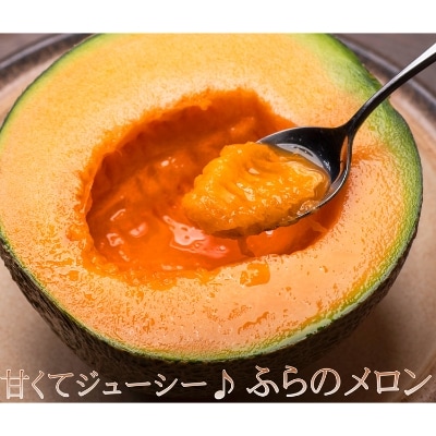 2022年3月発送開始『定期便』【北海道富良野市からお届け】お米10kg×3種・野菜・メロン全7回