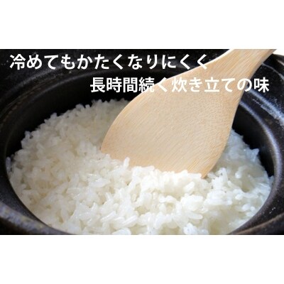 2023年2月発送開始『定期便』お米食比べ3種各10kgゆめぴりか・ななつぼし・ふっくりんこ全3回