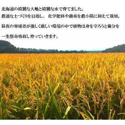 2023年2月発送開始『定期便』お米食比べ3種各10kgゆめぴりか・ななつぼし・ふっくりんこ全3回