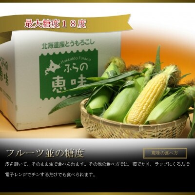 2023年6月発送開始『定期便』【北海道富良野市からお届け】お米10kg・野菜・メロン 全4回