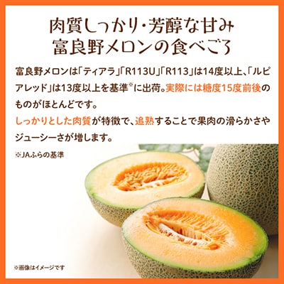 【2026年発送　先行受付】富良野メロン　赤肉4～5玉　計約8kg