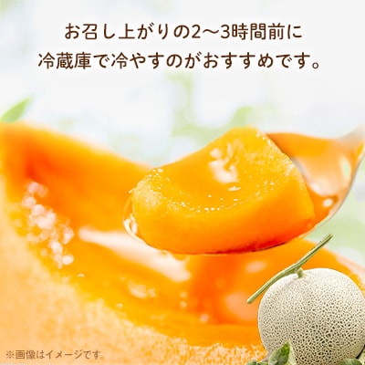 【2026年発送　先行受付】富良野メロン　赤肉4～5玉　計約8kg
