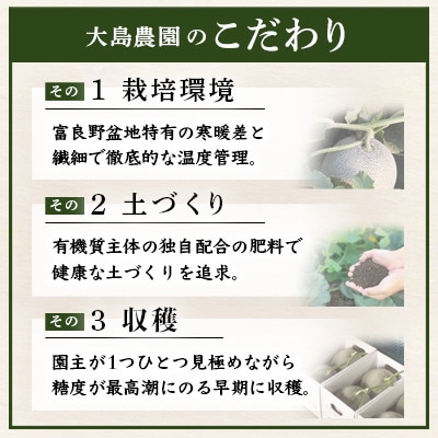 富良野メロン　赤肉4～5玉　北海道富良野市『大島農園』