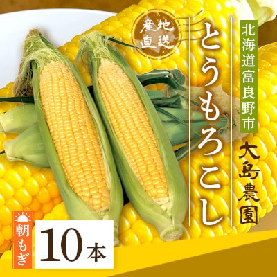 朝もぎとうもろこし　10本　北海道富良野市『大島農園』