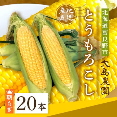 朝もぎとうもろこし　20本　北海道富良野市『大島農園』