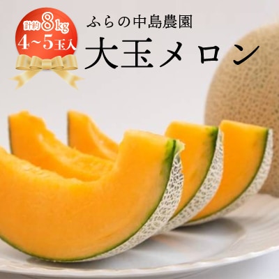 富良野市産　大玉メロン8kg箱(4～5玉入り)