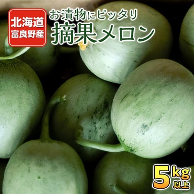 摘果メロン 5kg以上【子メロン】