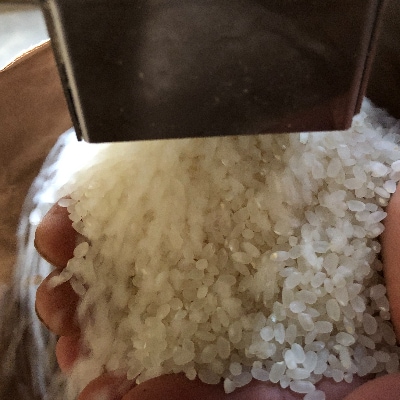 令和4年産・天日干し稲架掛け米「ななつぼし」1kg 、富良野産「ゆきさやか」1kg　セット