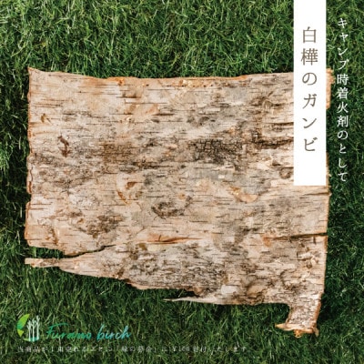 【富良野産】Furano birch Set(白樺のヴィヒタ・白樺のトーチ・白樺のガンビ)