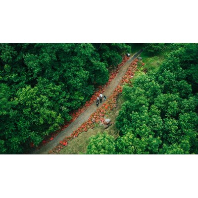 富良野自然塾【環境教育プログラム】