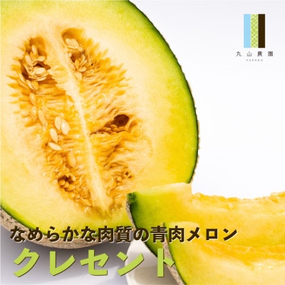 赤肉・青肉メロン 2玉セット(計4kg以上)